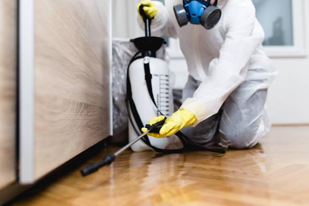 Best Insect Control  in Buckner, KY