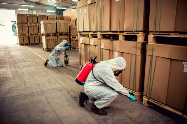 Best Cockroach Control Services  in Buckner, KY