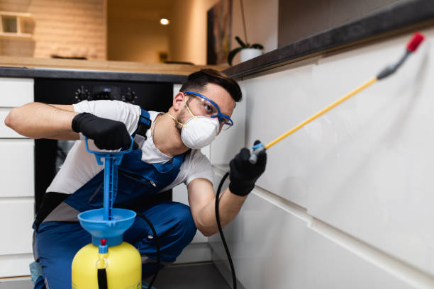 Best Pest Control Near Me in Buckner, KY