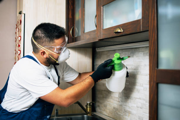 Best Cockroach Control Services  in Buckner, KY