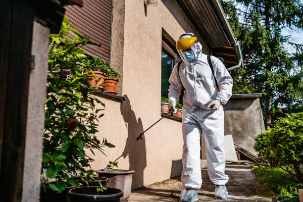 Best Emergency Pest Control  in Buckner, KY