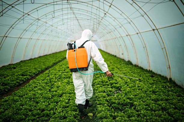 Best Commercial Pest Control Services  in Buckner, KY
