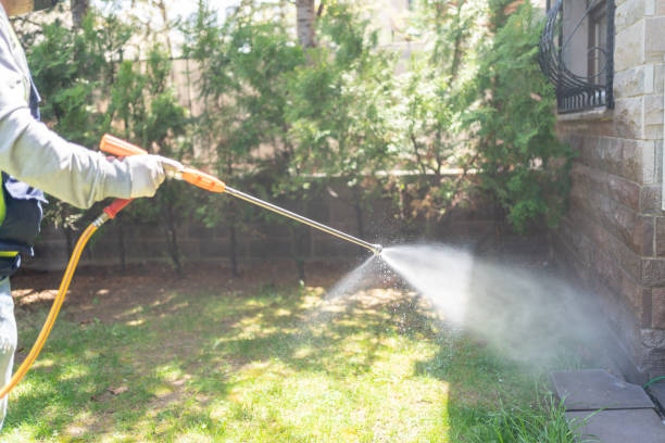 Best Emergency Pest Control  in Buckner, KY