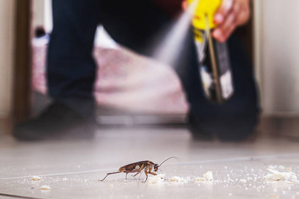 Best Mosquito Control Services  in Buckner, KY